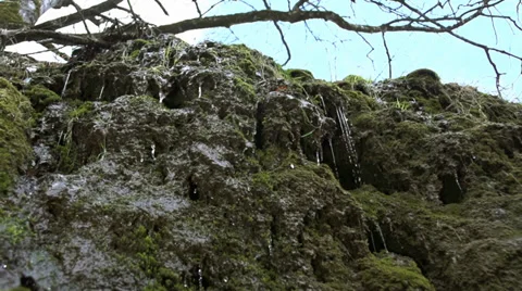Water flows down the rocks covered in moss in slow motion.Two frames package! Stock Footage 35045838
