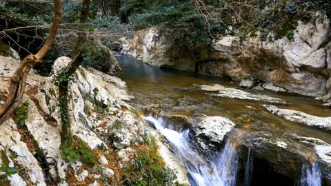 Water flows down from rocks in  forest Vidéo 85238212