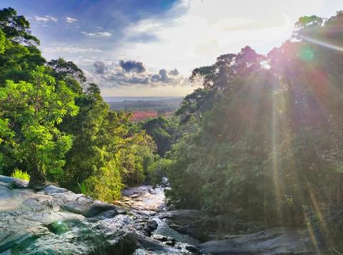 Water flows down rocks in a forest as sunlight shines through trees in the .. Stock Photos
