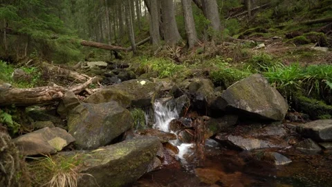 Water flows down a rocky stream in the forest captured in four frames 스톡 동영상 330120739