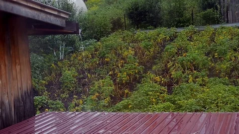 Water flows down to the roof 스톡 동영상 80156659