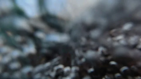 Water flows down from the stone Stock Footage 142123321