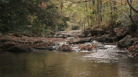 Water flows down stream at Asheville Botanical Gardens in Fall Stock Footage 190750765