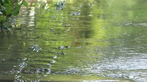 Water flows down the street. Stock Footage 46604388
