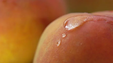 Water flows down the surface of a ripe juicy peach Stock Footage 118297210