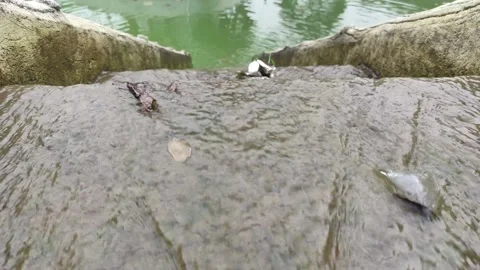 Water flows down through the terraces in a pond Stock Footage 277265168