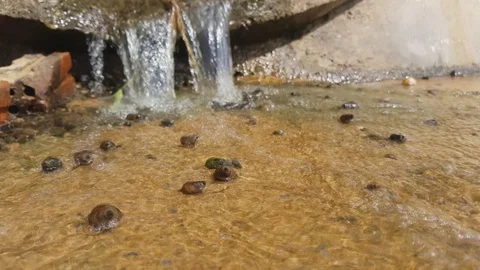 Water flows down from the water pipe. 스톡 동영상 100549944