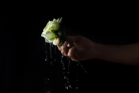 Water flows down from a white flower on a black background.  Stock Photos