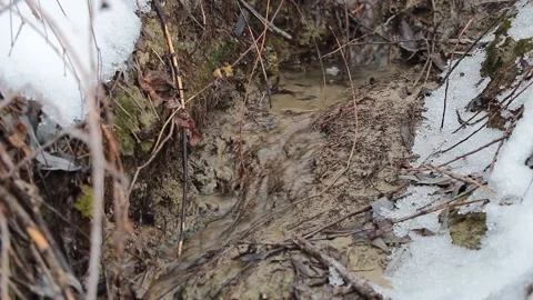 The water flows downstream into a small river in the nature Stock-Footage 160710602