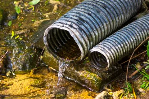 Water flows from a drain in a forest Stock Photos