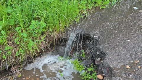 Water flows from a drain outlet into a grassy area, creating a small stream. Stock Footage 339024341