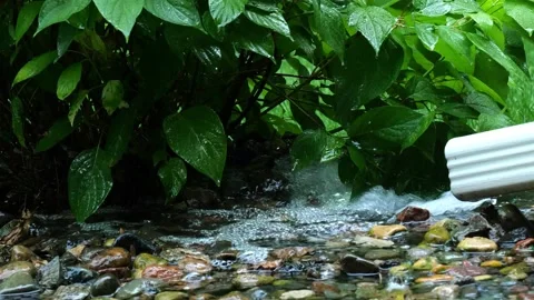 Water flows from drain pipe onto rocks as rain drops fall on green leaves. Video stock 146243895