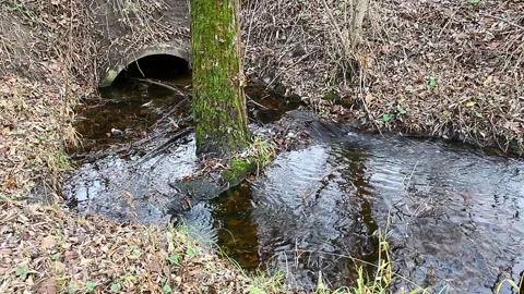 Water flows from a drainage pipe in the Ukraine park Stock Footage 164640161