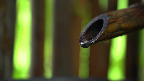 Water flows from the end of the bamboo barrel. Vídeos de archivo 218411891