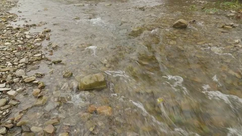 Water Flows Fast Close View of Stream Brook Cloudy Day in Country Time is Like Stock Footage 71632788
