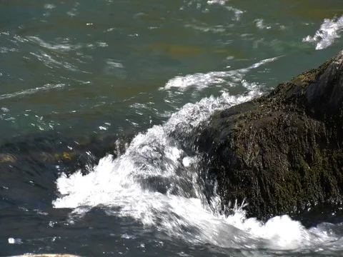 Water flows fast in the river after torrential rains Stock Footage 81064621