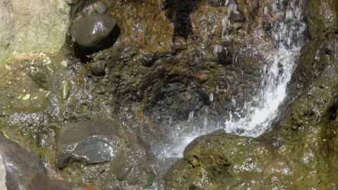 Water flows fast from the spring Stock Footage 287288141