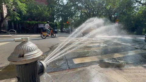 Water flows from a fire hydrant spraying onto the street in New York City. Video stock 343984307