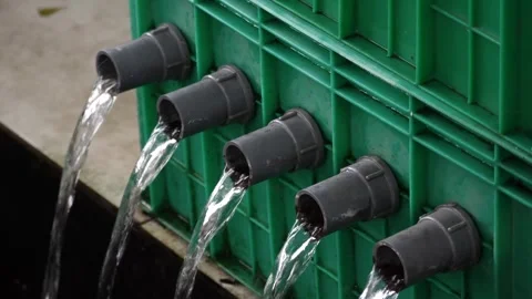 Water flows from the fish pond filter pipe Stock Footage 306263619