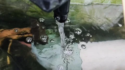 Water flows in the fish pond Stock Footage 221929150