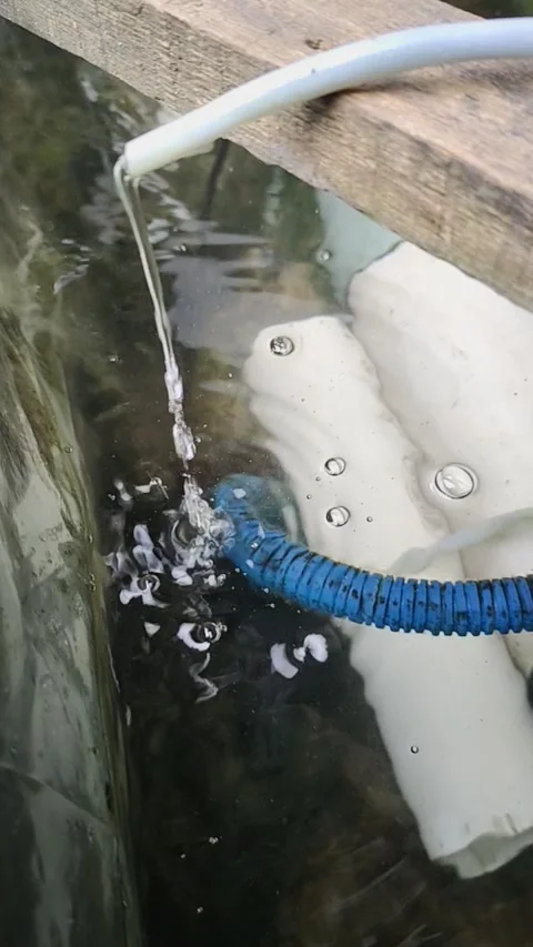 Water flows in the fish pond Stock Footage 221954933