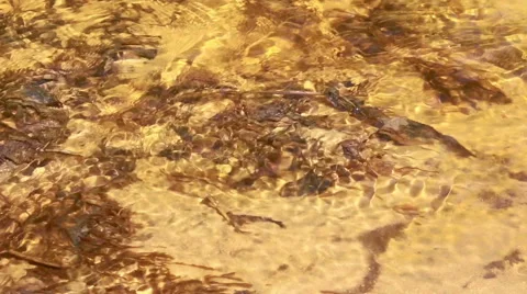 Water flows Stock Footage 51299978