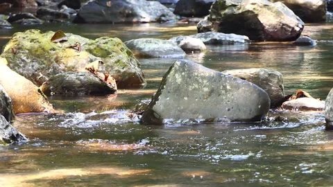 Water flows Stock Footage 124321545