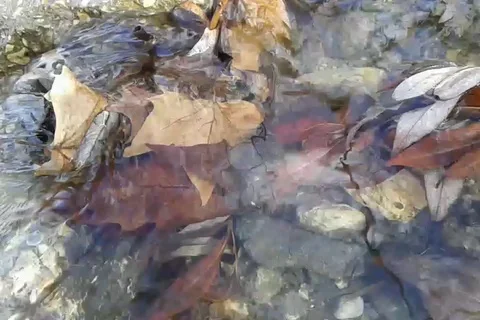 Water flows Stock Footage 125325500