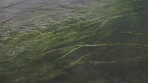 Water flows Stock Footage 155112190