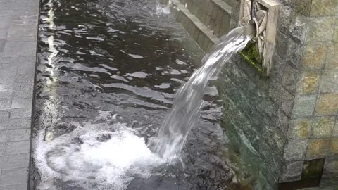 Water Flows Video stock 210613313