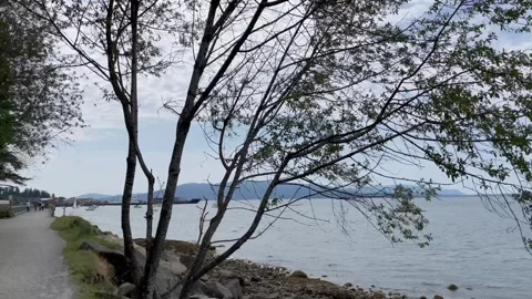 The Water flows 库存影片 246025277