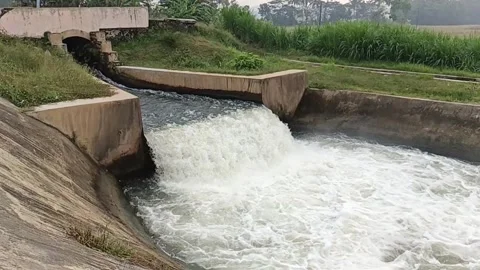 Water flows Stock Footage 246545151