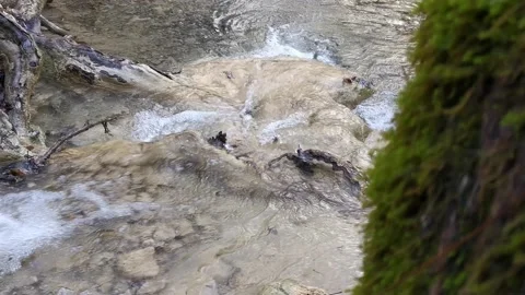 Water flows in the forest with fallen autumn leaves 스톡 동영상 140057320