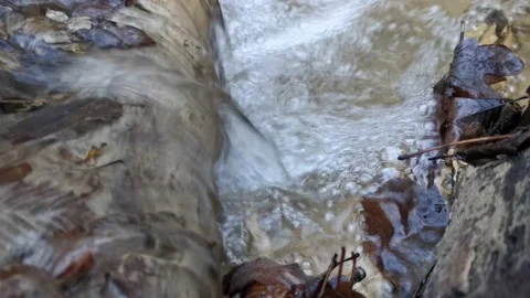 Water flows in the forest with fallen autumn leaves 스톡 동영상 140057396