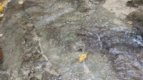 Water flows in the forest with fallen autumn leaves 스톡 동영상 140331578