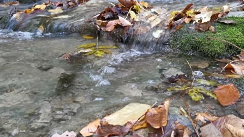 Water flows in the forest with fallen autumn leaves 스톡 동영상 140332616