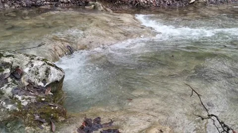 Water flows in the forest with fallen autumn leaves. Stock Footage 150988302