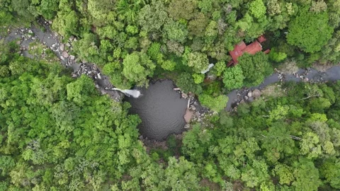 Water flows in a forested area surrounded by many trees and rocks. A small build Video stock 338189339