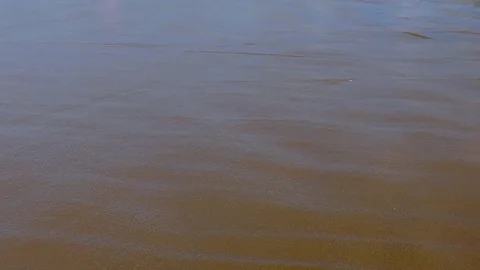 Water Flows Gently Back to Ocean Video stock 78079350