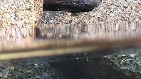 Water Flows Gently on Rocky Shore of Papua New Guinea Stock Footage 344783137