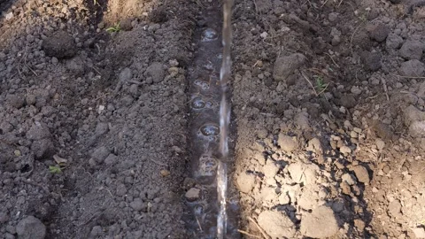 Water flows gently through garden soil creating serene landscapes Earth absorbs Stock Footage 279633770