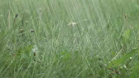 The water flows on the green grass 4K Stock Footage 90684646