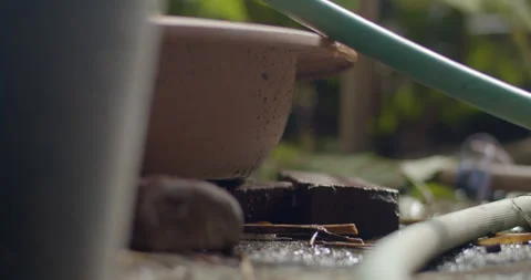 Water flows from the hose caused by ineffective clamping.Water drips. Stock Footage 316110102