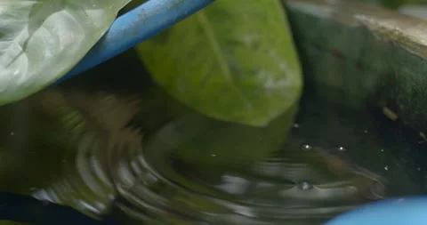 Water flows from the hose caused by ineffective clamping. Stock Footage 316110105