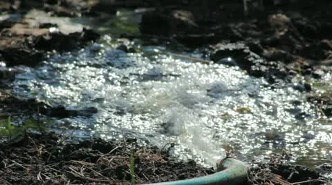 Water flows from hose to the ground 库存影片 11192430