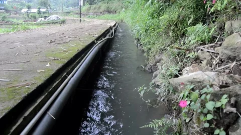 Water flows in irrigation streams 库存影片 231239666