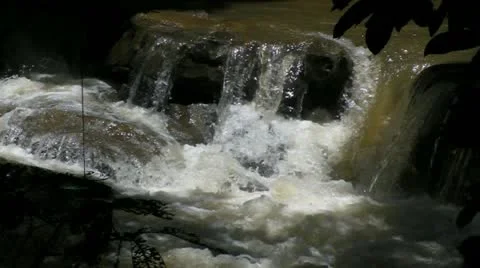 Water Flows in the Jungle Video stock 11285429