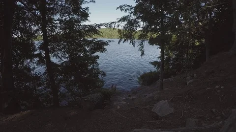 Water flows by on a lake between the trees Stock Footage 81922939