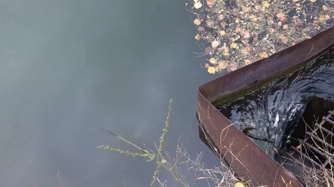 Water flows from the lake to the drain Stock Footage 95855237