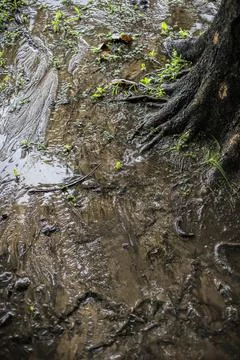 Water flows in the Land Stock Photos